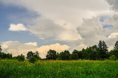 panoramic nature landscape