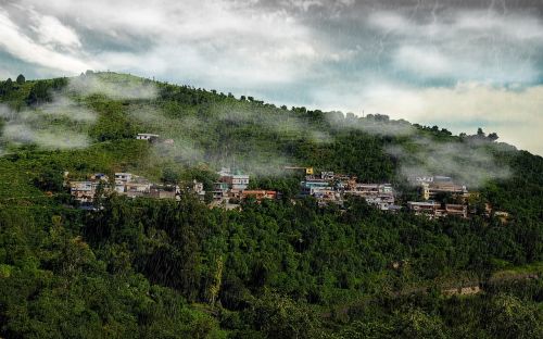 panoramic house nature