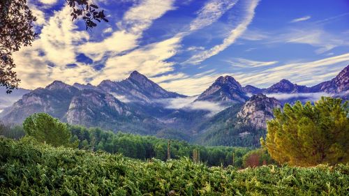 panoramic mountain mists