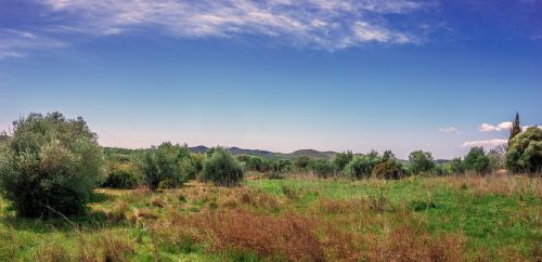 panoramic nature sky