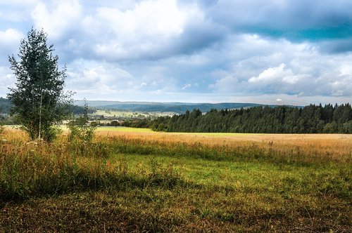 panoramic  landscape  nature