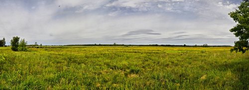 panoramic  field  nature