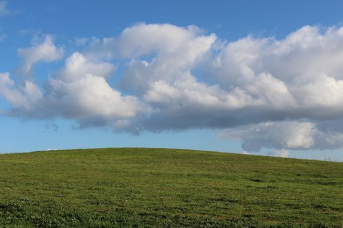 panoramic  nature  grass