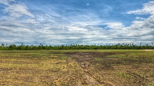 panoramic  nature  landscape