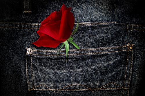 pants rose flower