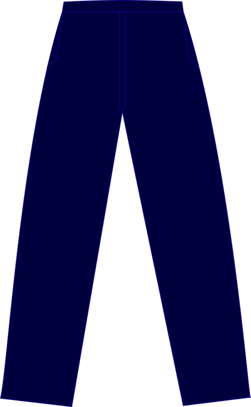 pants blue cloth
