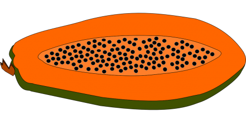 papaya fruit food