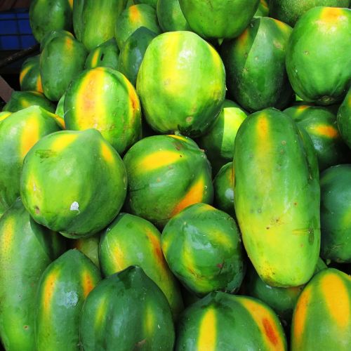 papaya fruit green