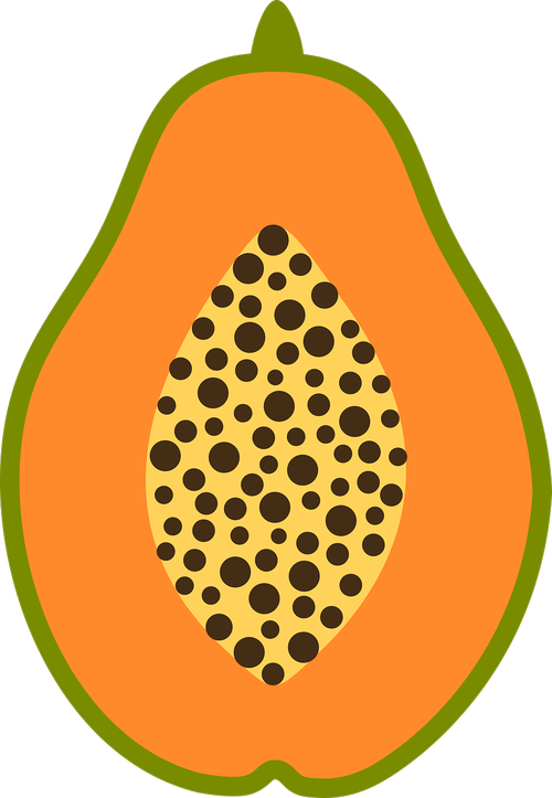papaya  fruit  fresh