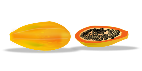 papaya slice sliced