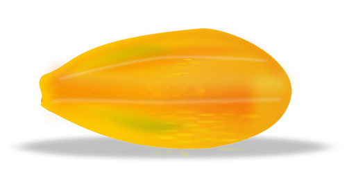 papaya fruit slice