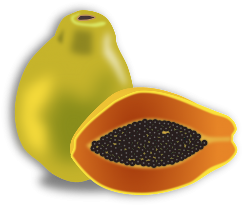 papaya tropical fruit