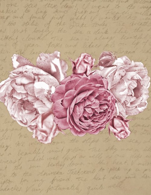 paper  vintage  roses