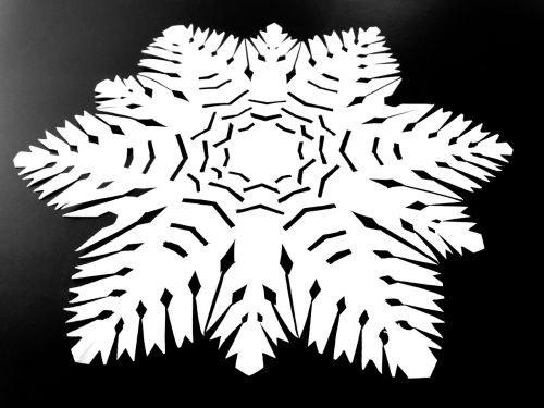 paper cut silhouette snowflake