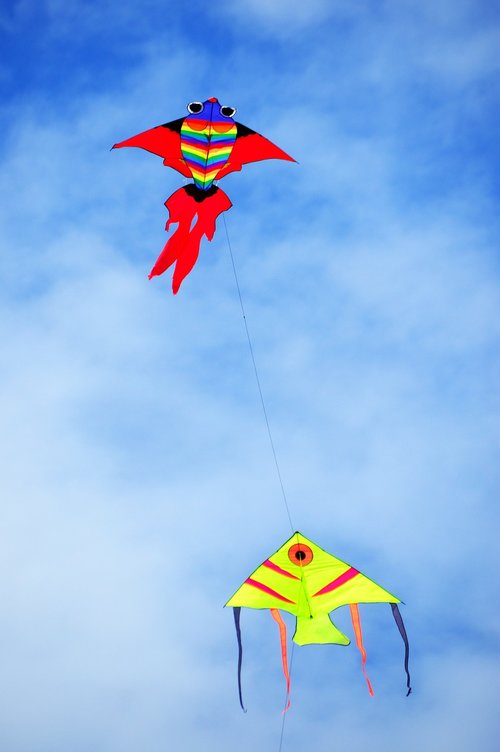paper dragon  kites  freedom