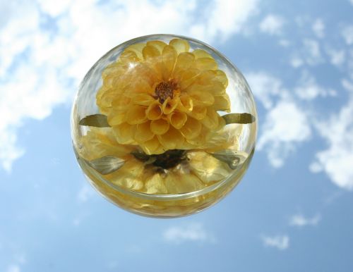 paperweight flower glass