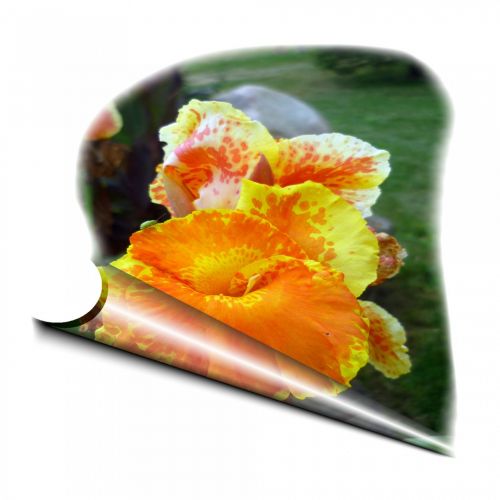 Decorative Floral Paper # 1