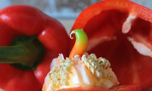 paprika peppers vegetables