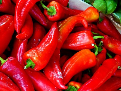 paprika pointed pepper vegetables