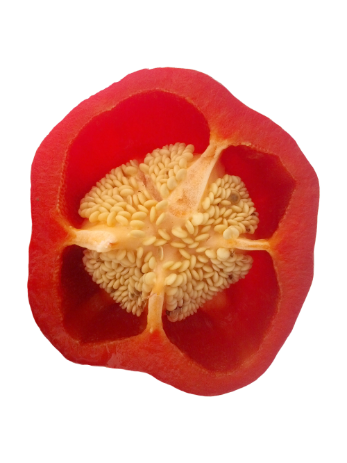 paprika red seeds