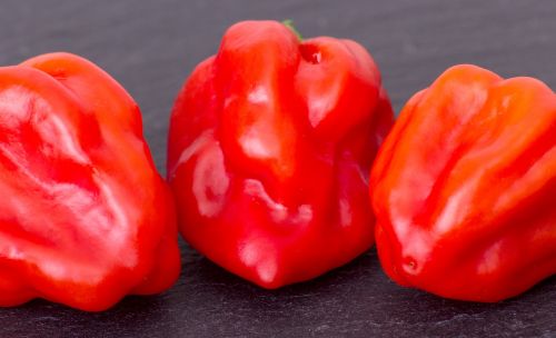 paprika fruit chili
