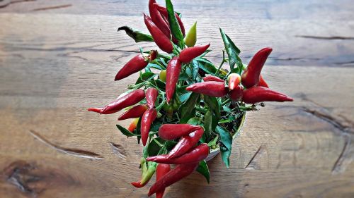 paprika chili herbs