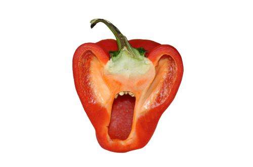 paprika red pepper pepper
