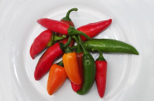 paprika chili pálivá