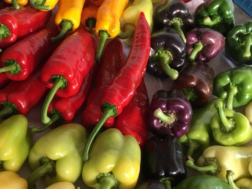 paprika  vitamins  vegetable