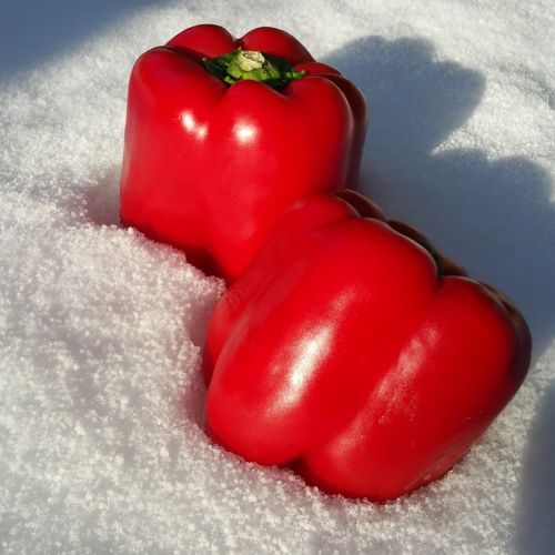 paprika red vegetables