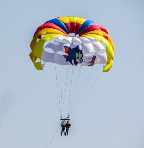 parachute paragliding cat and mouse
