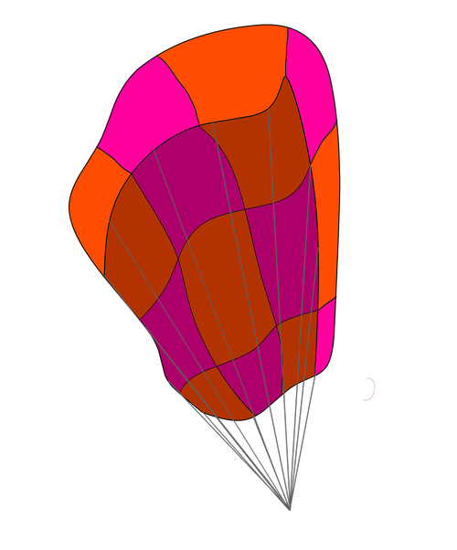parachute  skydiving  airplane jump