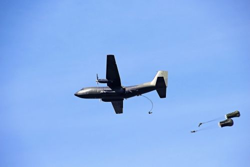 parachutist parachutes skydiving