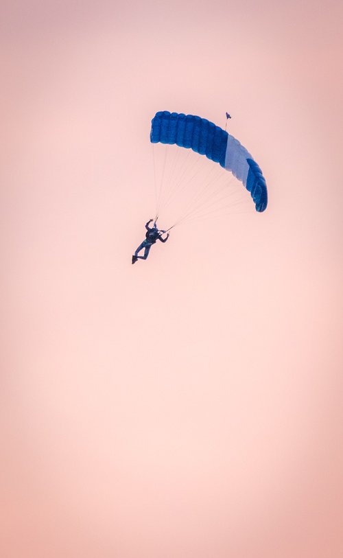 parachutist  parachute  skydiving