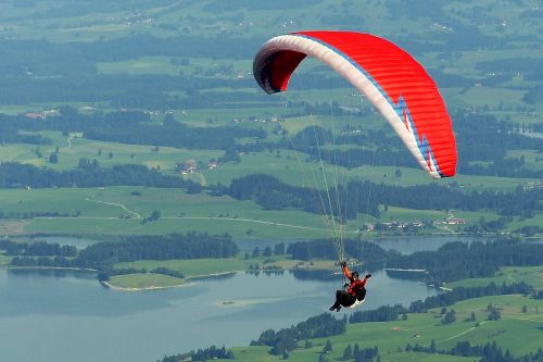 paraglider paragliding fly