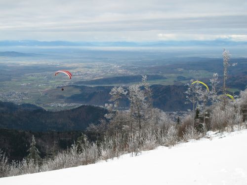 paraglider paragliding air sports