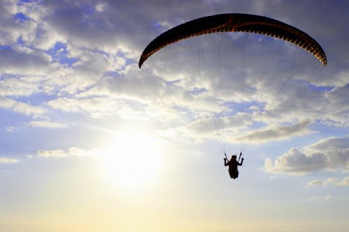 paraglider wing paragliding