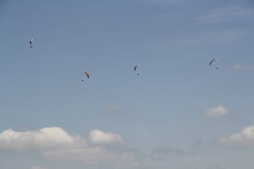 paraglider paragliders fly