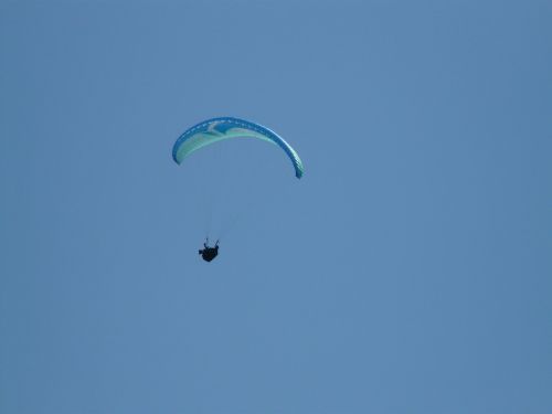 paraglider paragliding fly