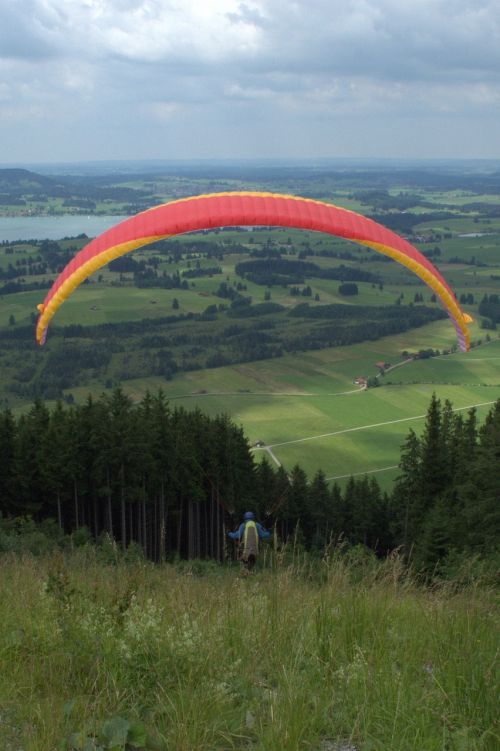 paraglider springer paraglider springer