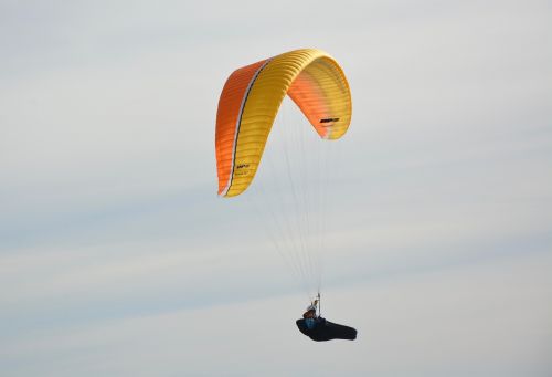 paragliders practice in free flight paramotor