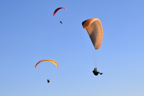 paragliding  paraglider  sails of paragliders