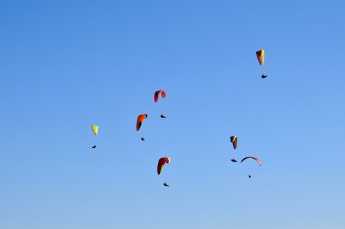 paragliding  paraglider  paragliders