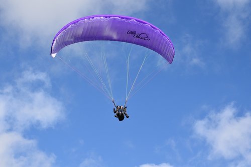 paragliding  paragliders  wing purple