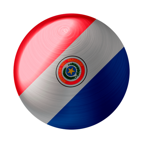 paraguay  flag  country