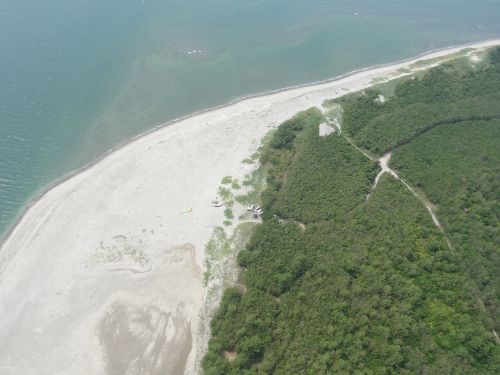 paramotor aerial fukiagehama seashore