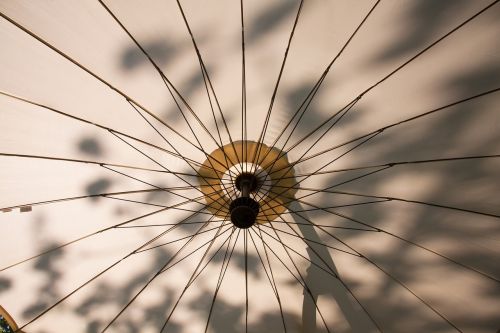 parasol screen sun