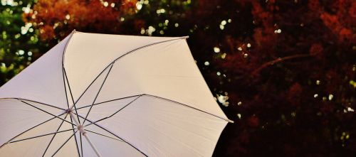 parasol screen sun