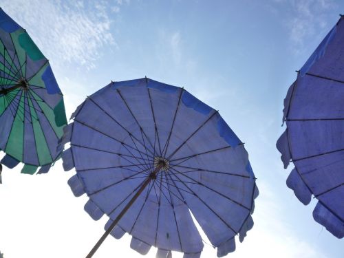 parasol beach sunny