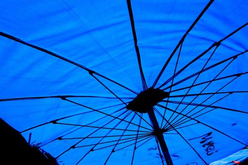 parasol blue eastern